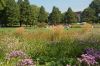 Hamburg-Planten-un-Blomen-120904-DSC_0511.JPG