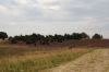 Niedersachsen-Lueneburger-Heide-110821-DSC_0070.JPG