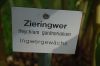 Rosarium-Sangerhausen-Sachsen-Anhalt-120901-DSC_0694.JPG