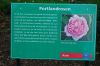 Rosarium-Sangerhausen-Sachsen-Anhalt-120901-DSC_0849.JPG