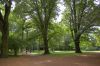 Clara-Zetkin-Park-Leipzig-2013-130725-DSC_0244.jpg