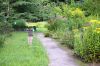 Botanischer-Garten-Dresden-2013-130813-DSC_0401.jpg