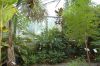 Botanischer-Garten-Dresden-2013-130813-DSC_0506.jpg