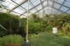 Botanischer-Garten-Dresden-2013-130813-DSC_0691.jpg