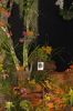 Ausstellung-Internationale-Orchideen-Welt-in-Bad-Salzuflen-2014-140302-DSC_0210.jpg