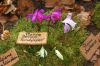Ausstellung-Internationale-Orchideen-Welt-in-Bad-Salzuflen-2014-140302-DSC_0293.jpg