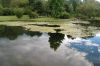 Gaerten-der-Welt-in-Berlin-Marzahn-2017-160817-DSC_2486.jpg