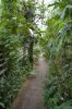 Botanischer-Garten-Dresden-2013-130813-DSC_0575.jpg